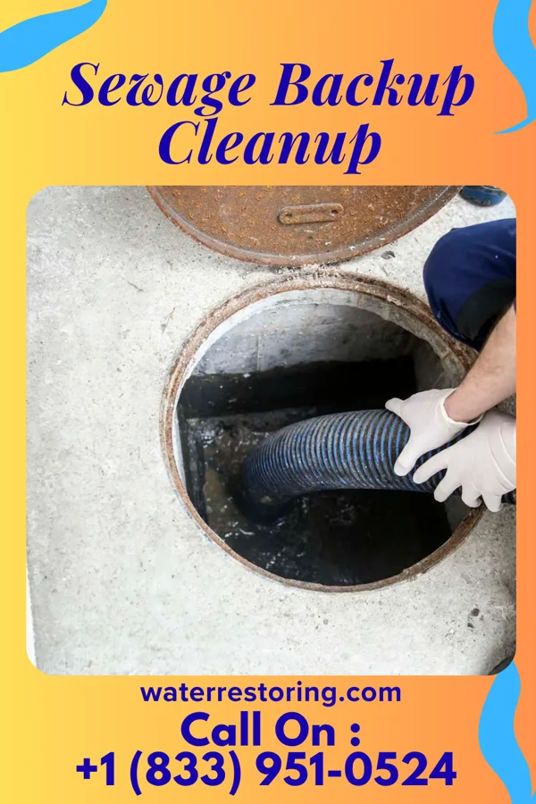 Sewage Backup Cleanup in Jonesville, LA